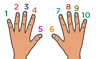 learn to count up to 10 - ten fingers